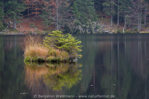 Kleiner Abersee