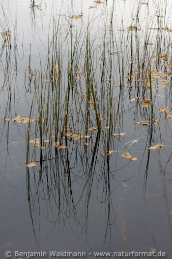 Kleiner Abersee
