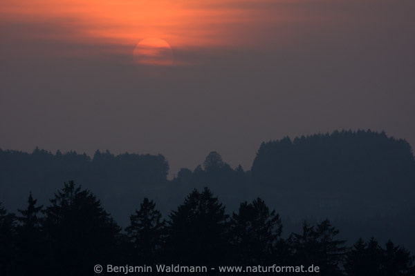 Bayerischer Wald