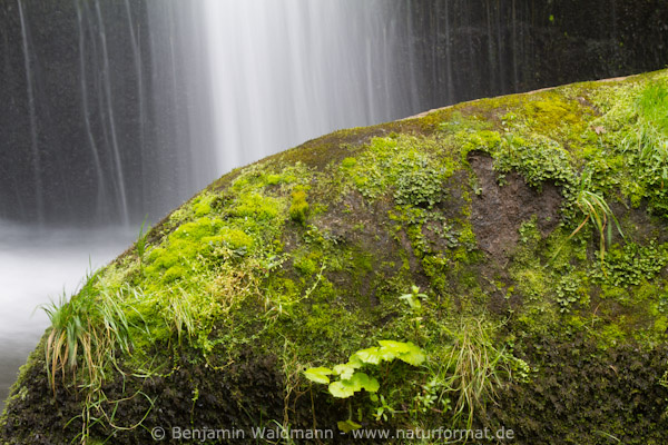 Triberger Wasserfall
