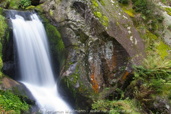 Triberger Wasserfall