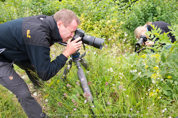 Makrofotografie