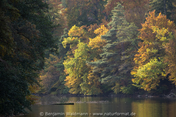Neuer See