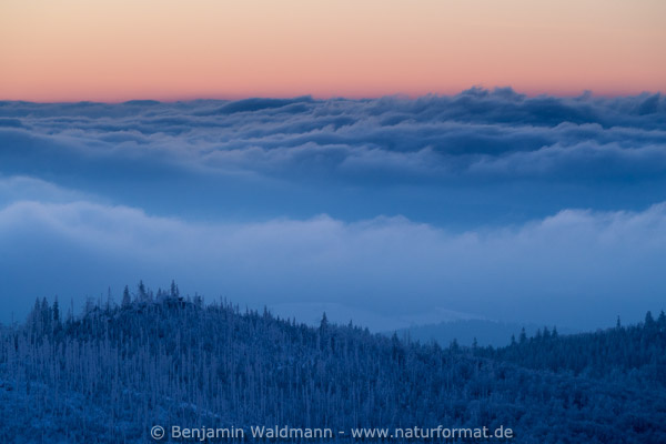 Sonnenaufgang Lusen