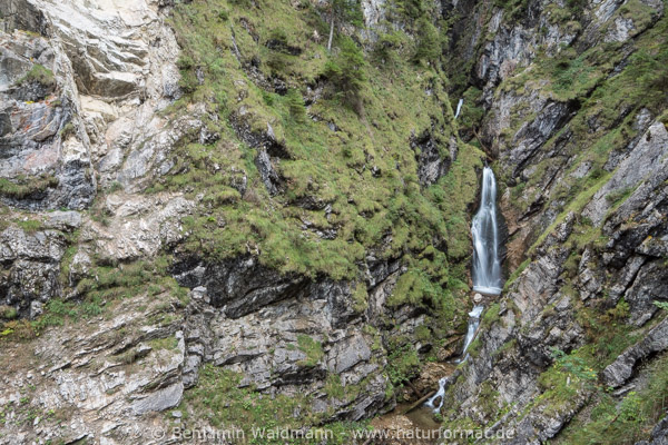 Wasserfall / Reichenbachklamm