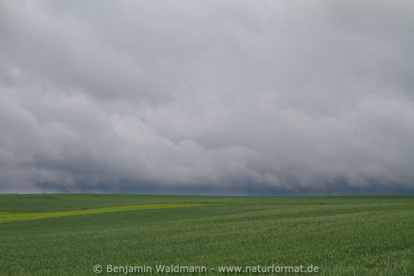 Agrar-Steppe