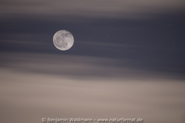 Mond
